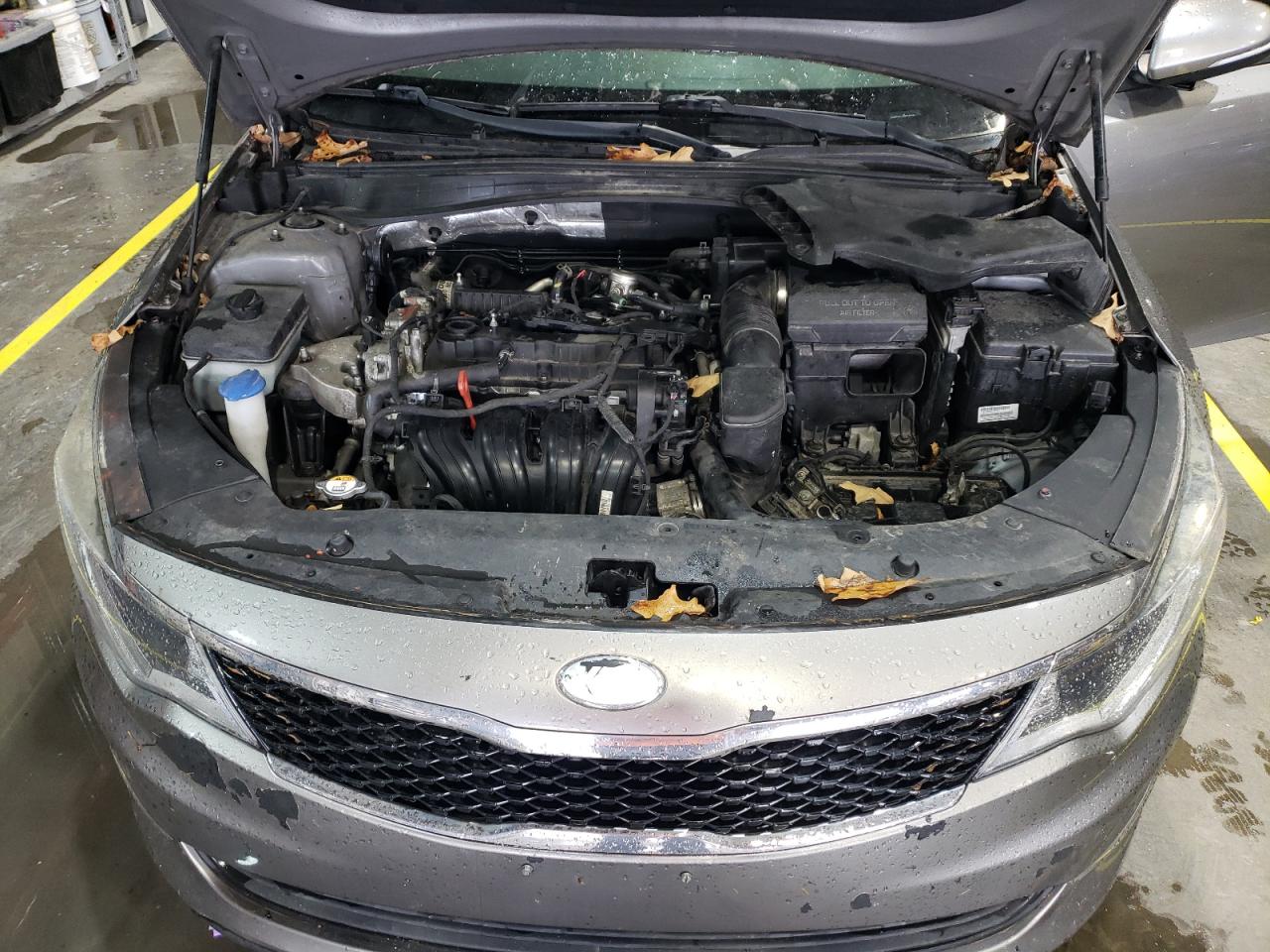 2017 Kia Optima Lx VIN: 5XXGT4L33HG146194 Lot: 81698565