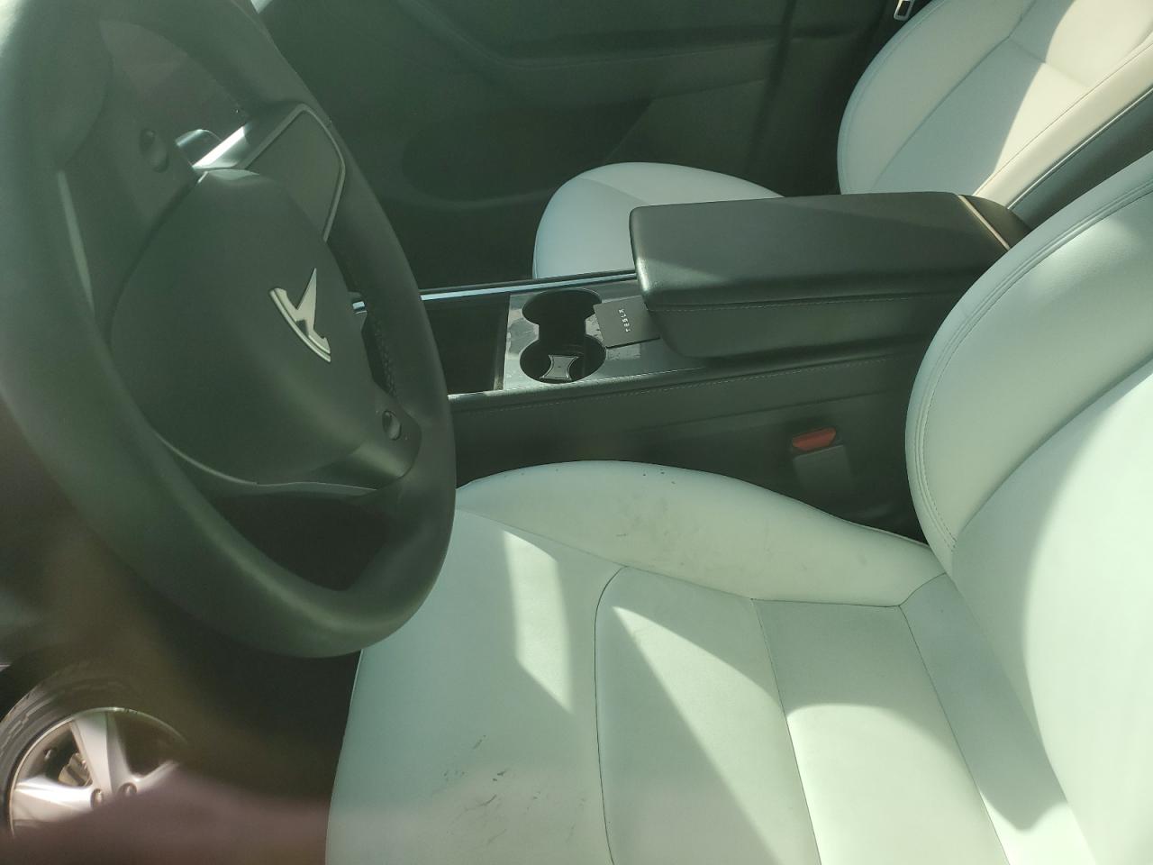 2023 Tesla Model Y VIN: 7SAYGDEFXPF756212 Lot: 81904585