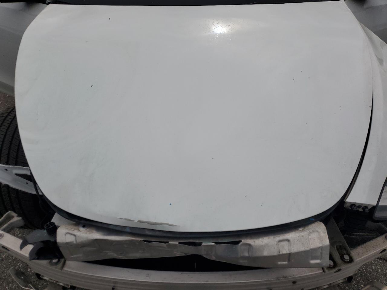 2022 Tesla Model Y VIN: 7SAYGDEE3NF390534 Lot: 80469235