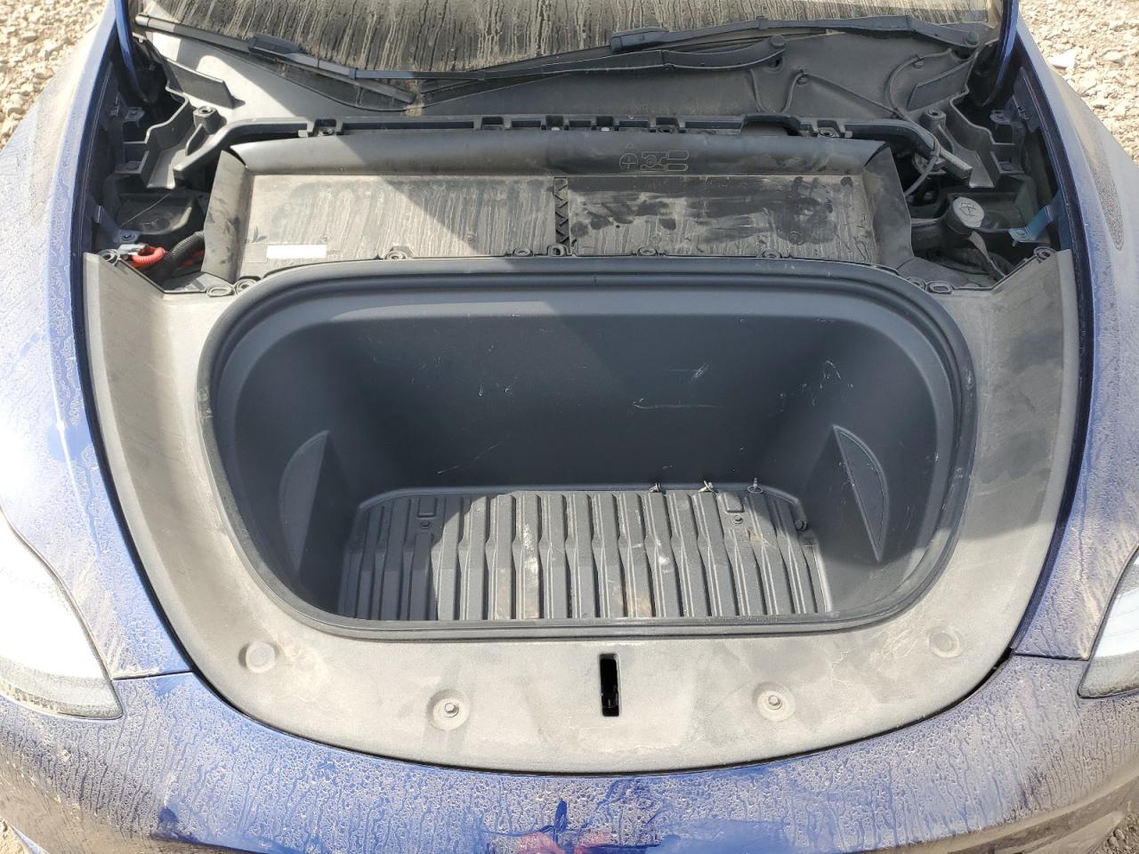 2023 Tesla Model Y VIN: 7SAYGDEE1PA067020 Lot: 70707815