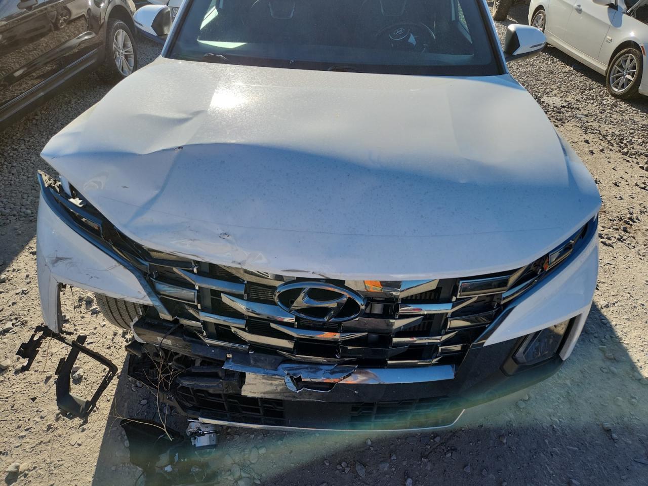 2023 Hyundai Santa Cruz Limited VIN: 5NTJEDAF3PH073104 Lot: 80763575