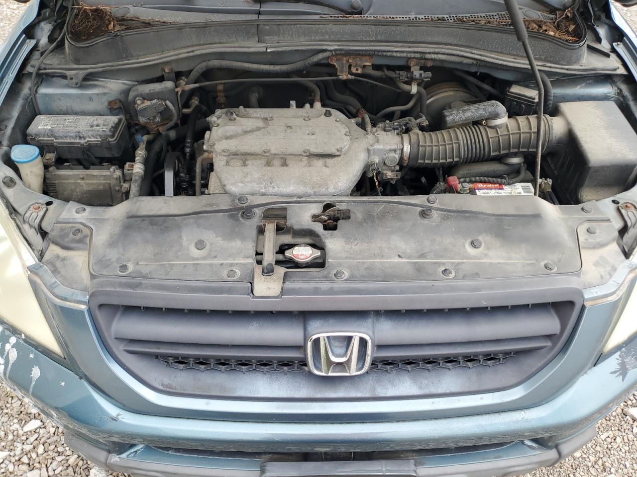 2005 Honda Pilot Exl VIN: 5FNYF18655B035948 Lot: 81331215