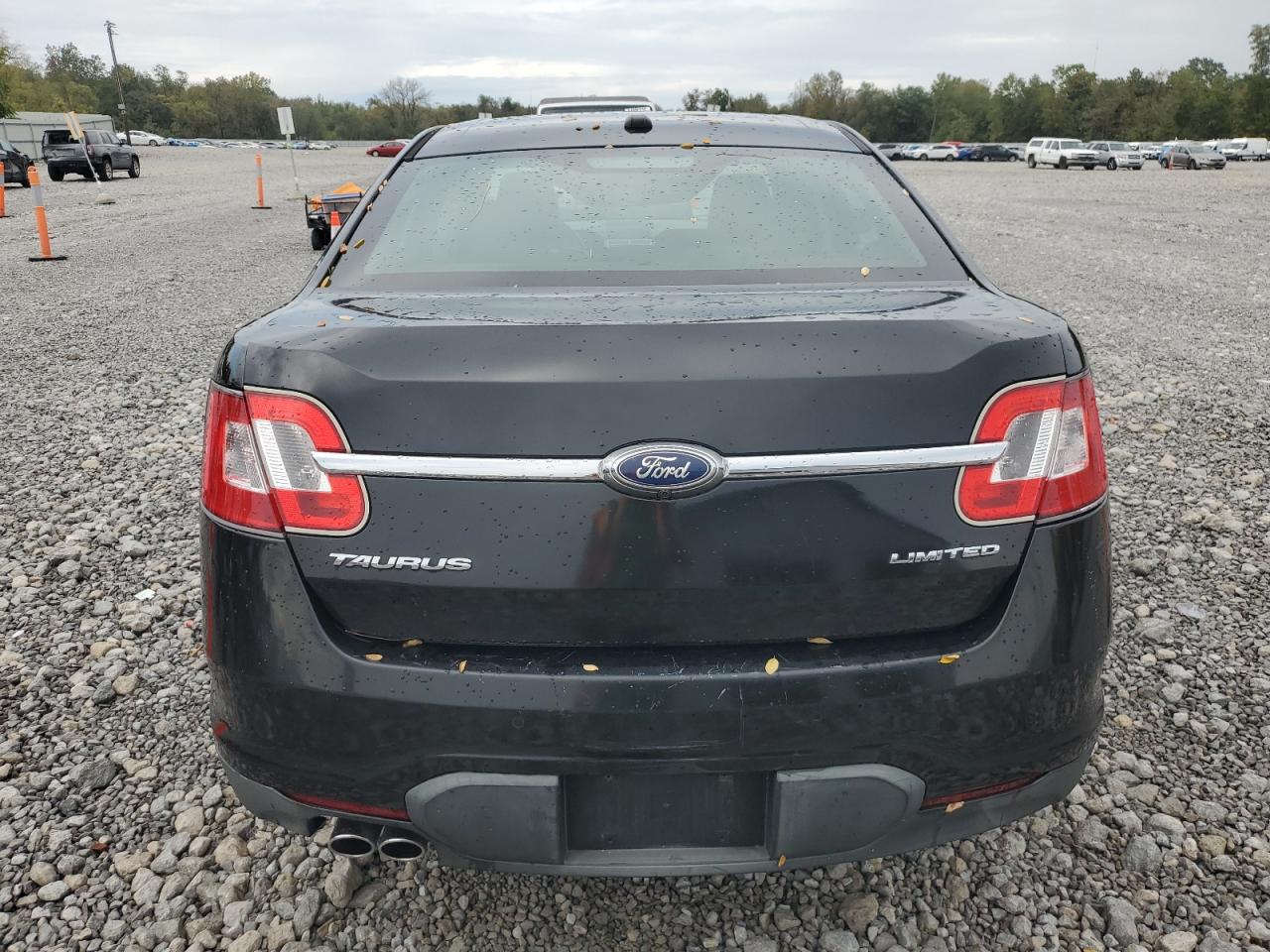 2011 Ford Taurus Limited VIN: 1FAHP2FW1BG124459 Lot: 81485465