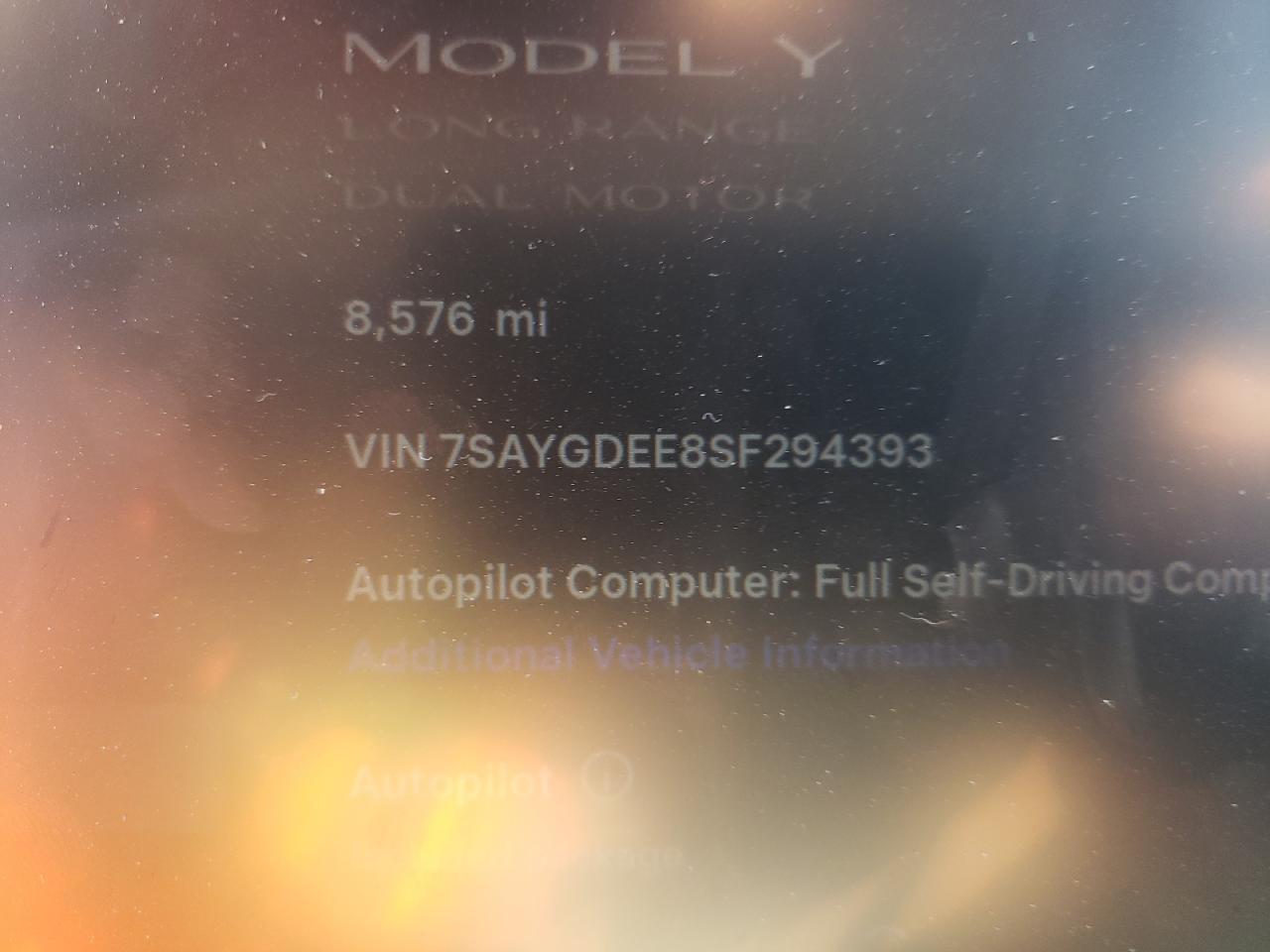 2025 Tesla Model Y VIN: 7SAYGDEE8SF294393 Lot: 71731955
