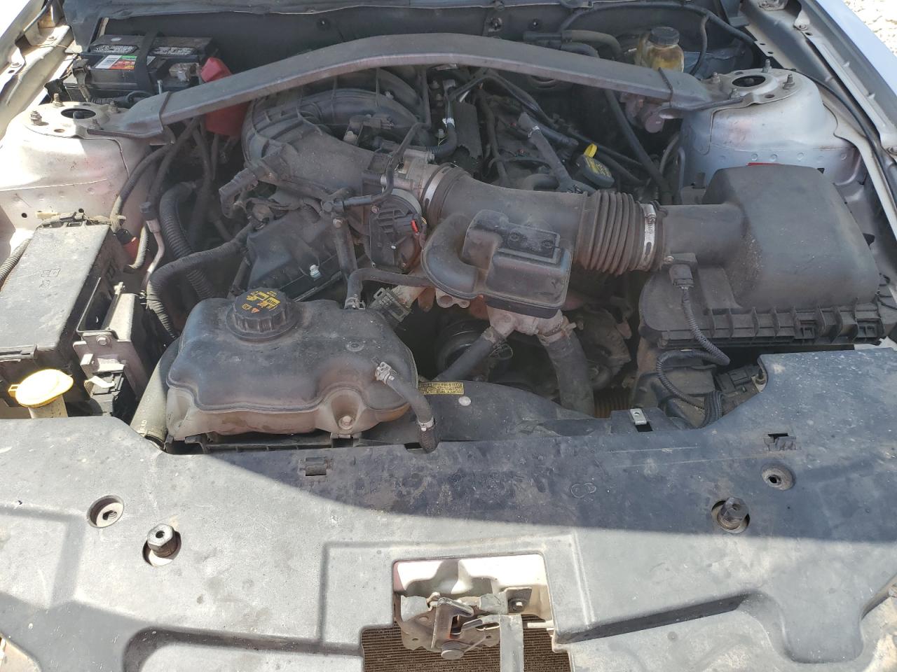 2012 Ford Mustang VIN: 1ZVBP8EM0C5239499 Lot: 71051225