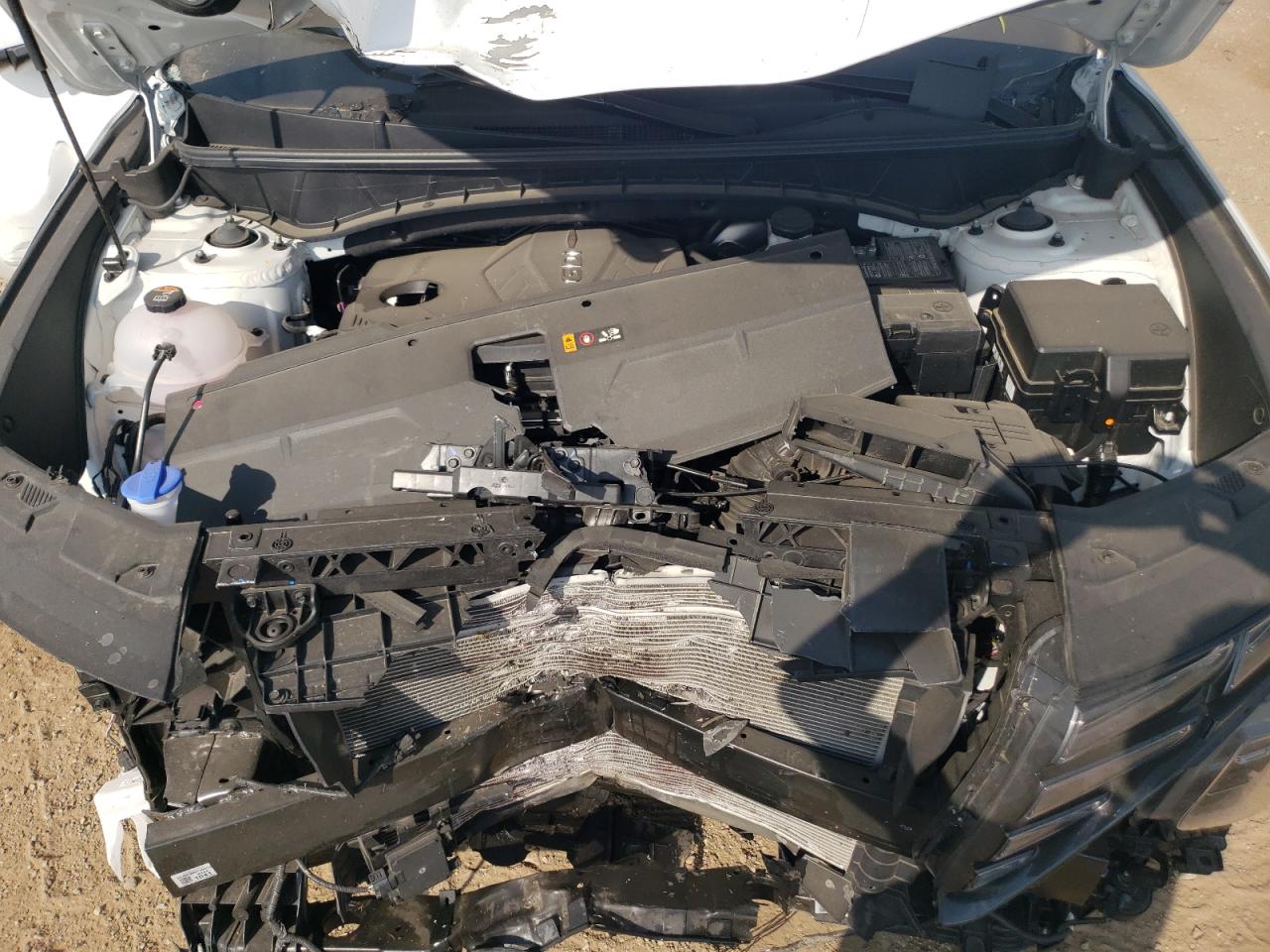 2024 Hyundai Tucson Sel VIN: 5NMJFCDE5RH401454 Lot: 81619005