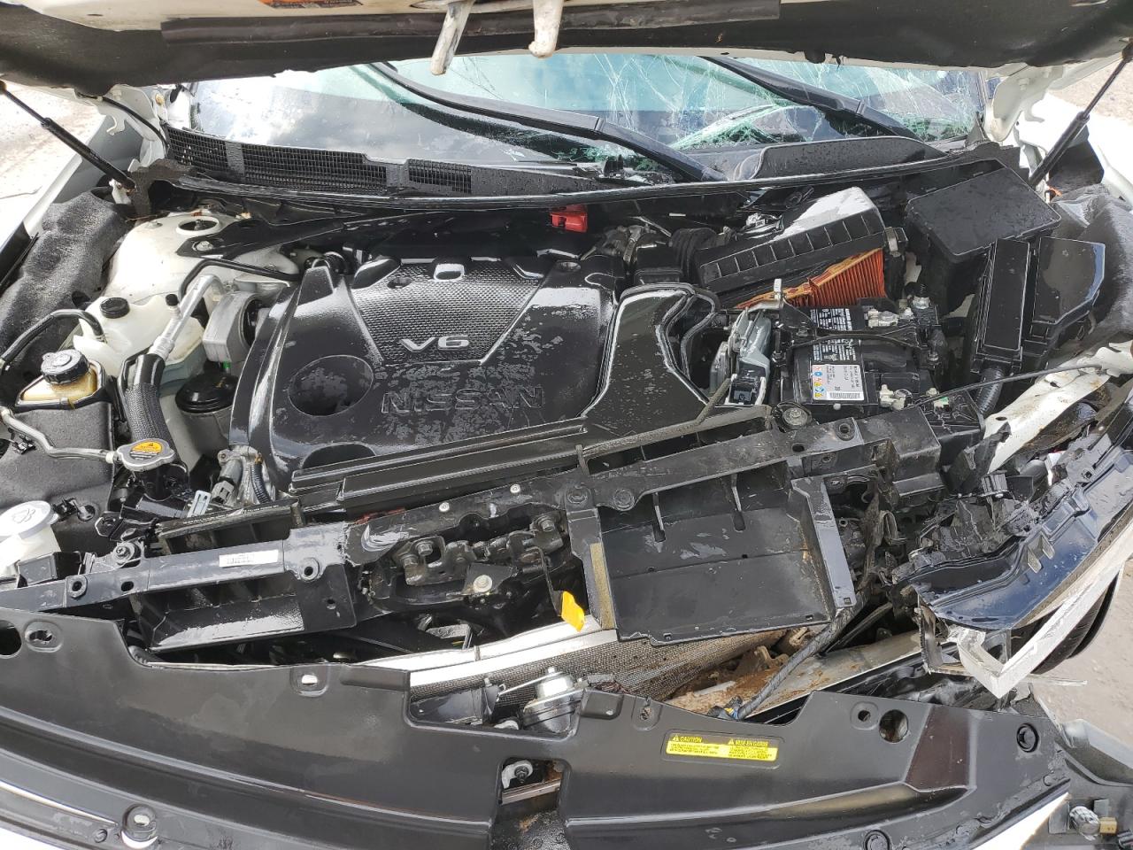 2023 Nissan Maxima Platinum VIN: 1N4AA6FV5PC503917 Lot: 71091575