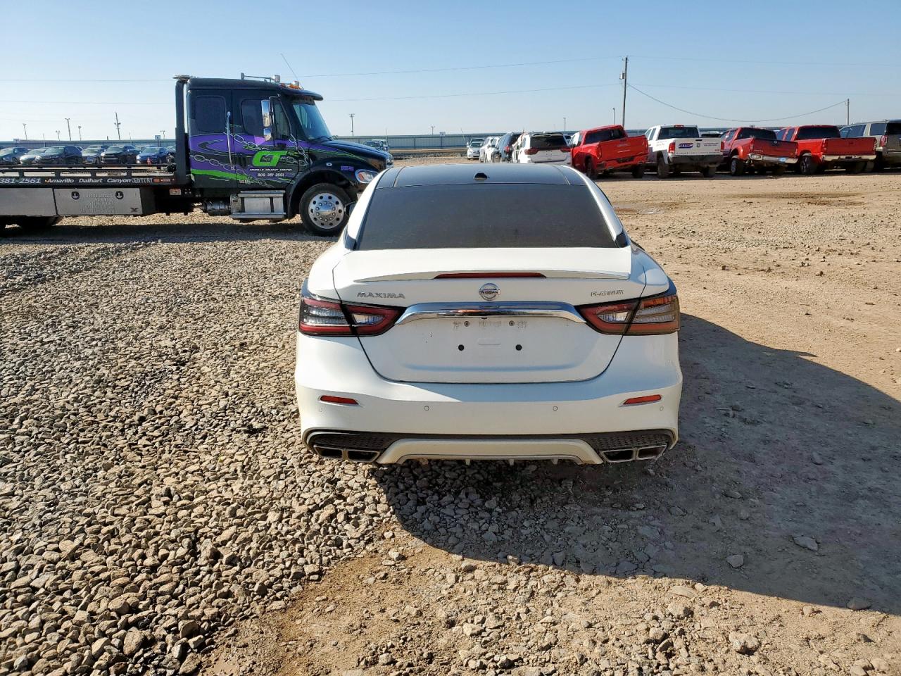 2021 Nissan Maxima Platinum VIN: 1N4AA6FVXMC512317 Lot: 70889495