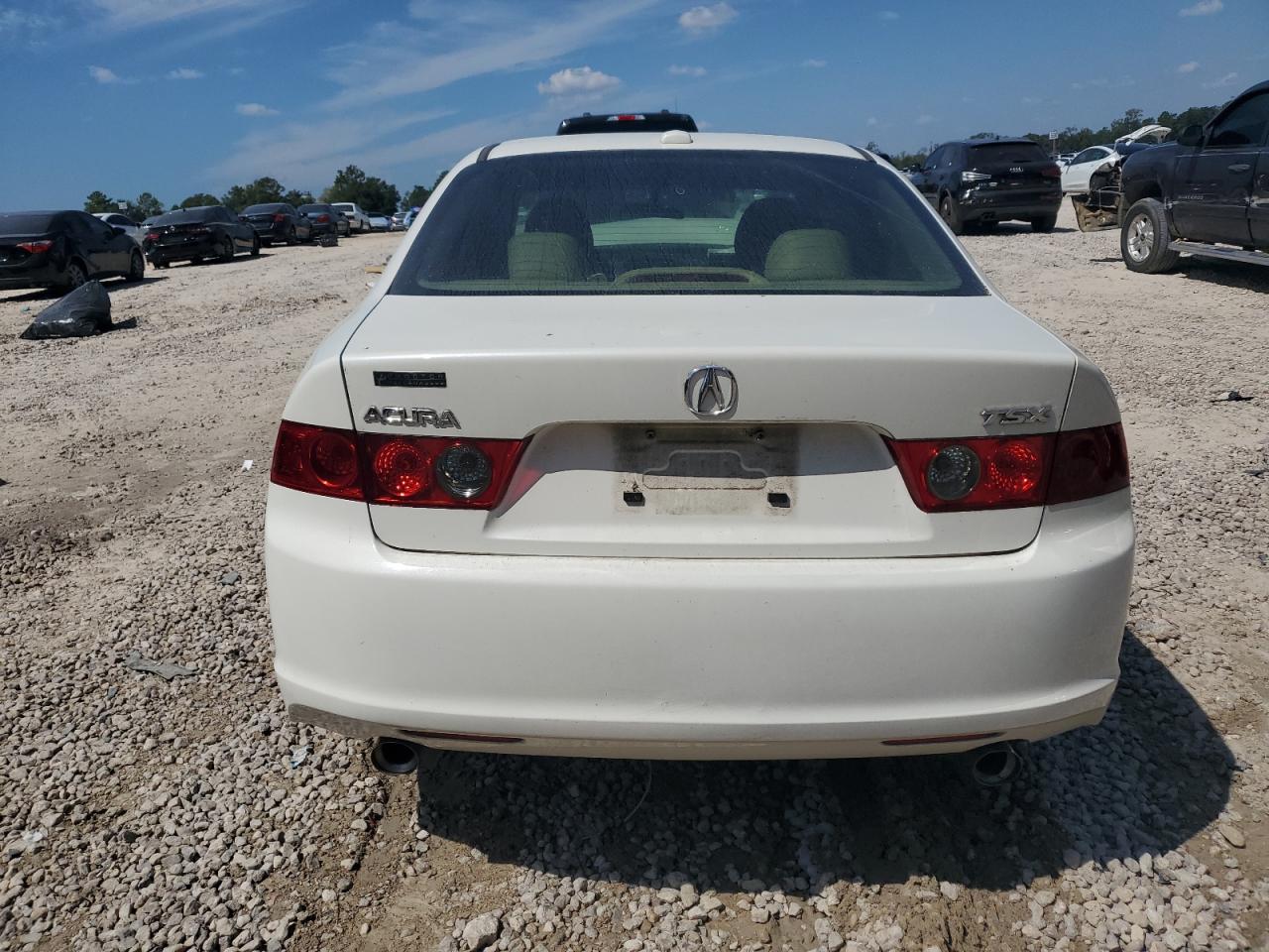 2006 Acura Tsx VIN: JH4CL96806C022057 Lot: 80908045
