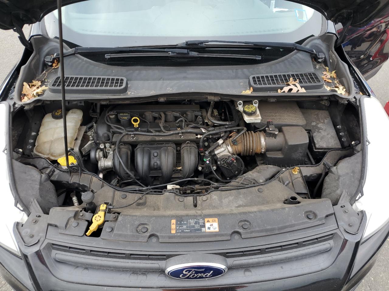 2014 Ford Escape S VIN: 1FMCU0F73EUC72351 Lot: 81208065