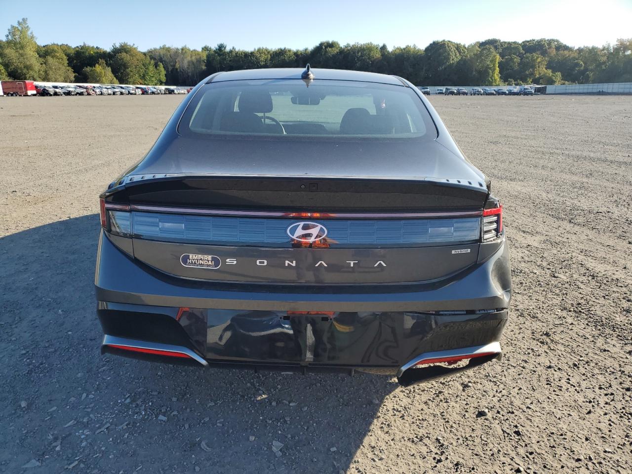2024 Hyundai Sonata Hybrid VIN: KMHL34JJ9RA097480 Lot: 81060475