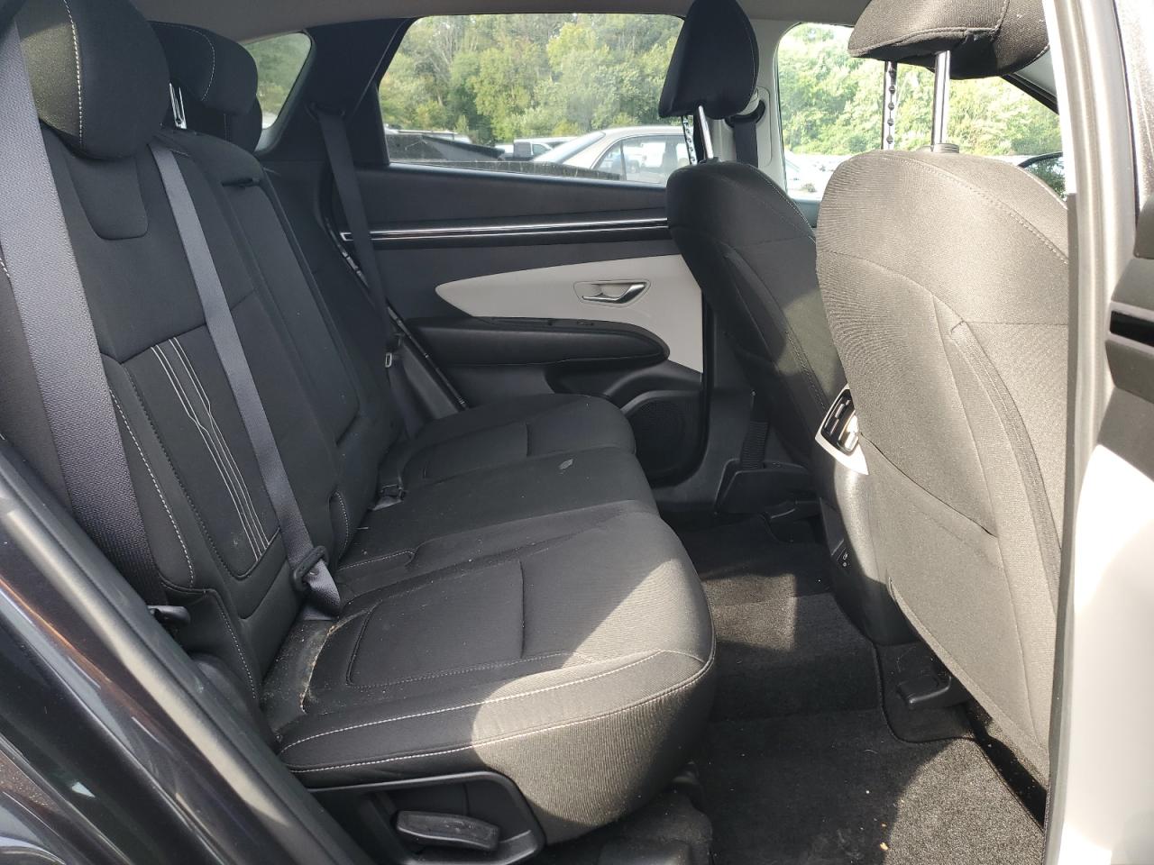 2023 Hyundai Tucson Sel VIN: 5NMJBCAE7PH234785 Lot: 80909575