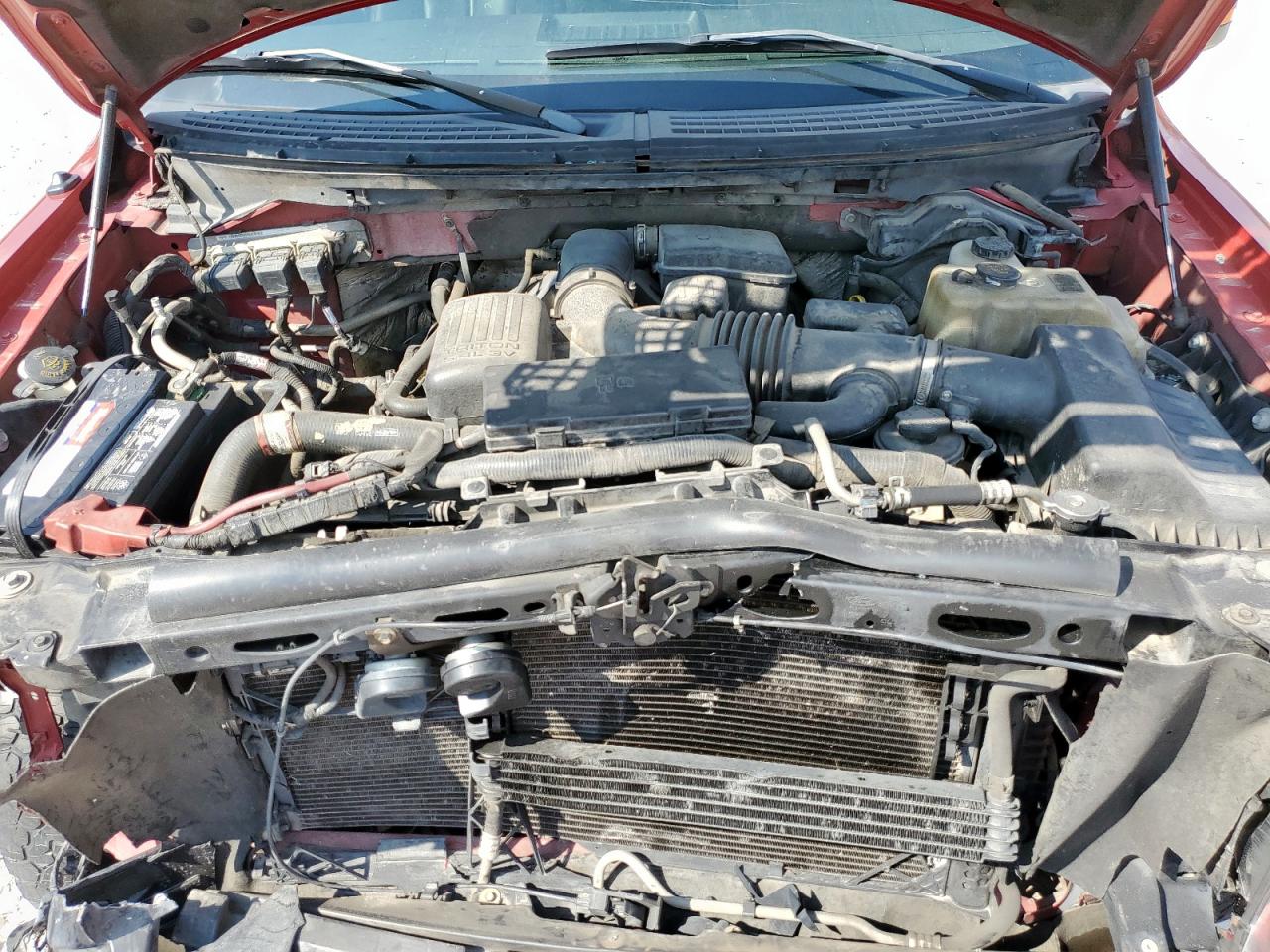 2010 Ford F150 Supercrew VIN: 1FTFW1EV9AFB83447 Lot: 81207015