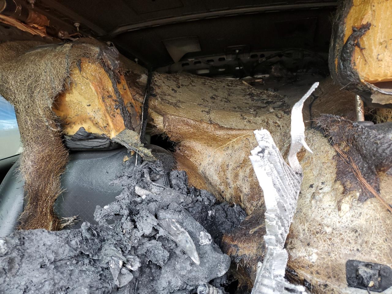 2018 Buick Encore Preferred Ii VIN: KL4CJBSB3JB525428 Lot: 81957795