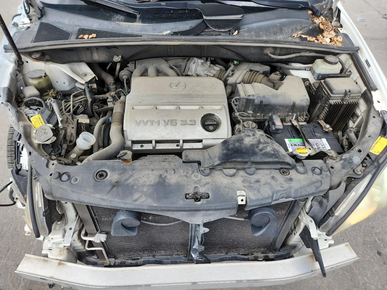 2004 Lexus Rx 330 VIN: JTJGA31U140043666 Lot: 81878465