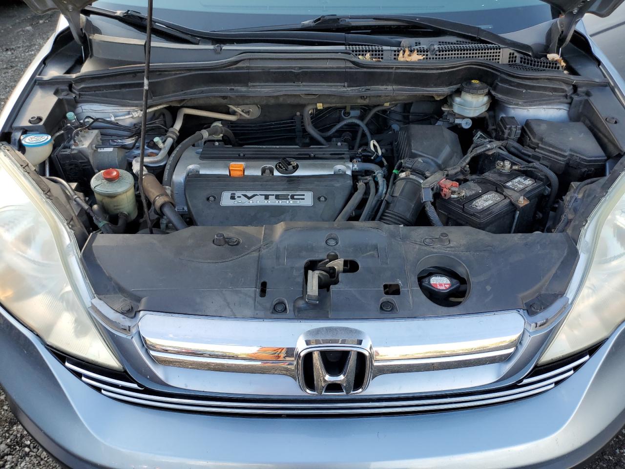 2007 Honda Cr-V Exl VIN: 5J6RE487X7L010958 Lot: 84259165