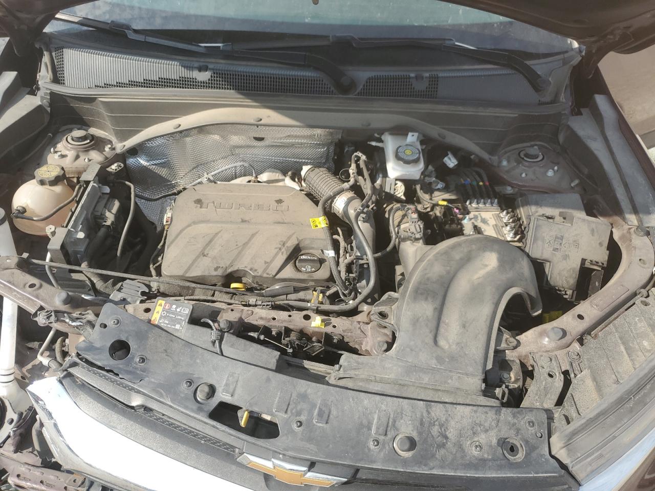 2023 Chevrolet Trailblazer Lt VIN: KL79MPS22PB181312 Lot: 71494925