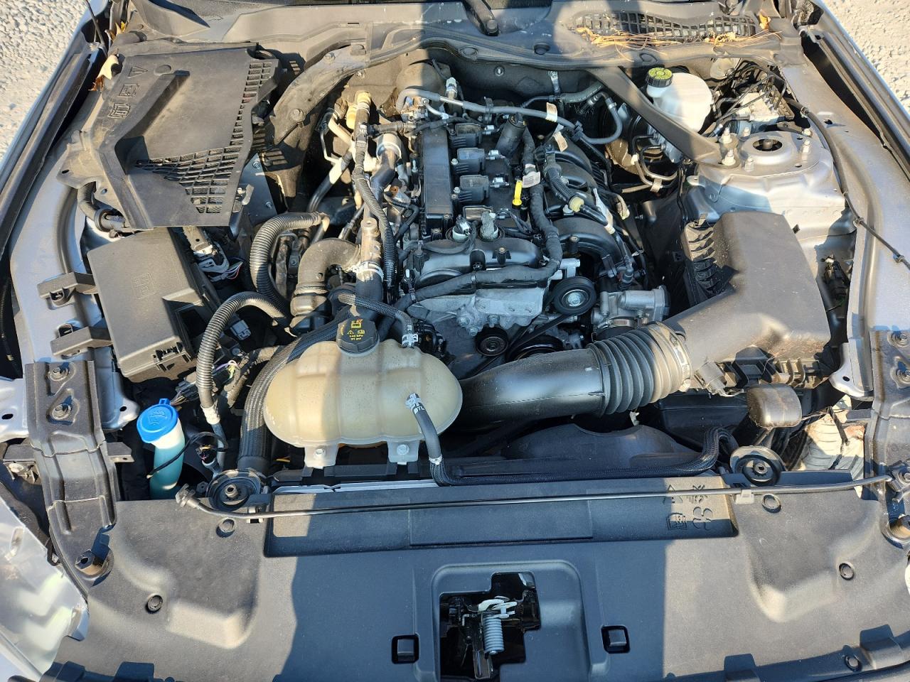 2022 Ford Mustang VIN: 1FATP8UH8N5119289 Lot: 81367015