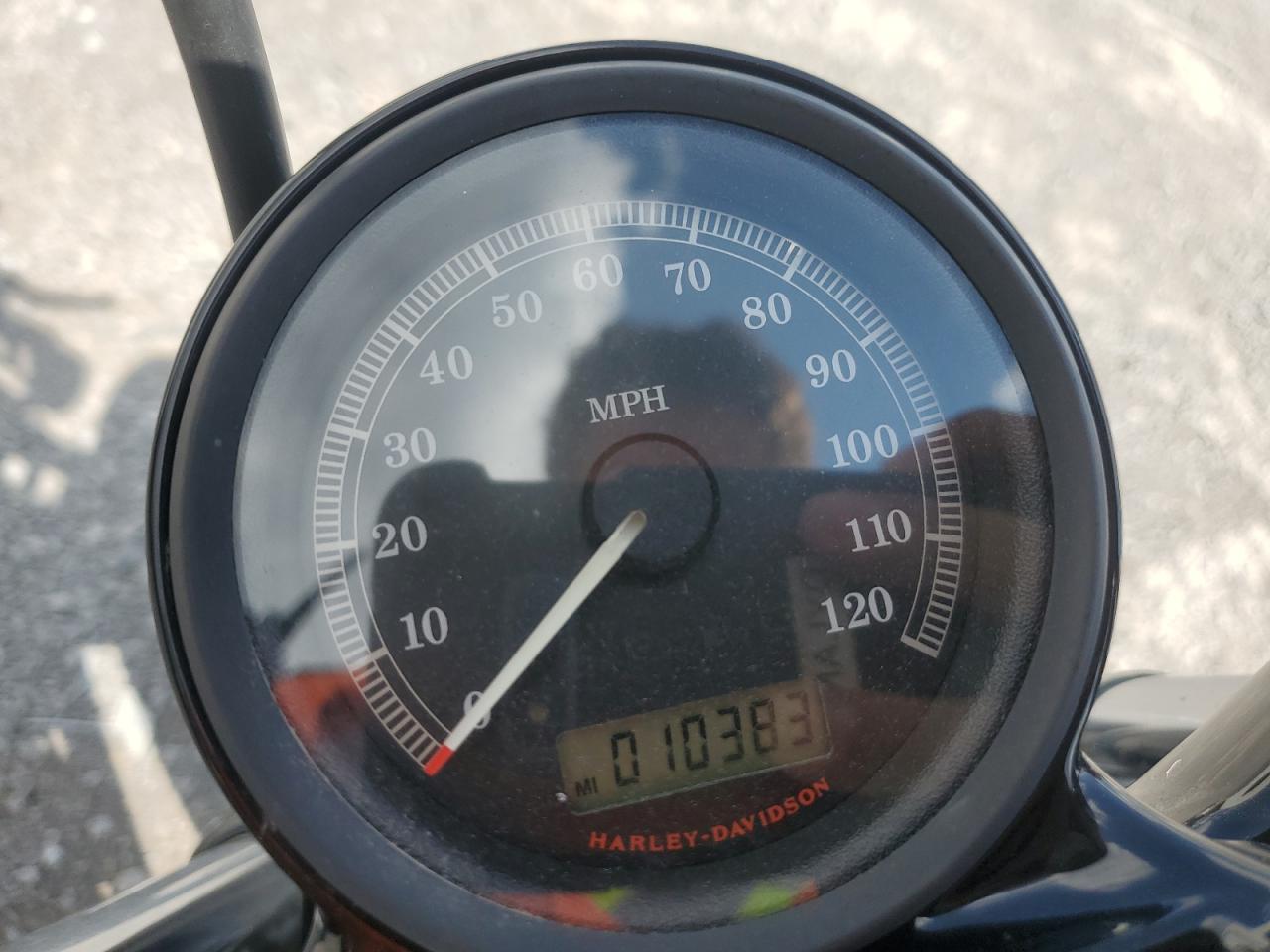 2013 Harley-Davidson Xl1200 Forty-Eight VIN: 1HD1LC311DC451376 Lot: 80246035