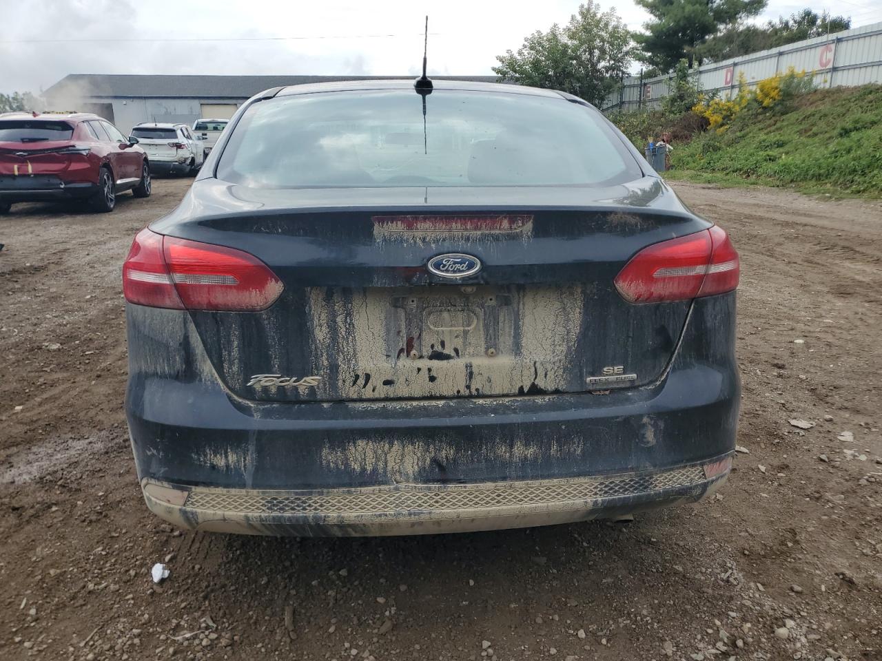 2015 Ford Focus Se VIN: 1FADP3F25FL356254 Lot: 81451005