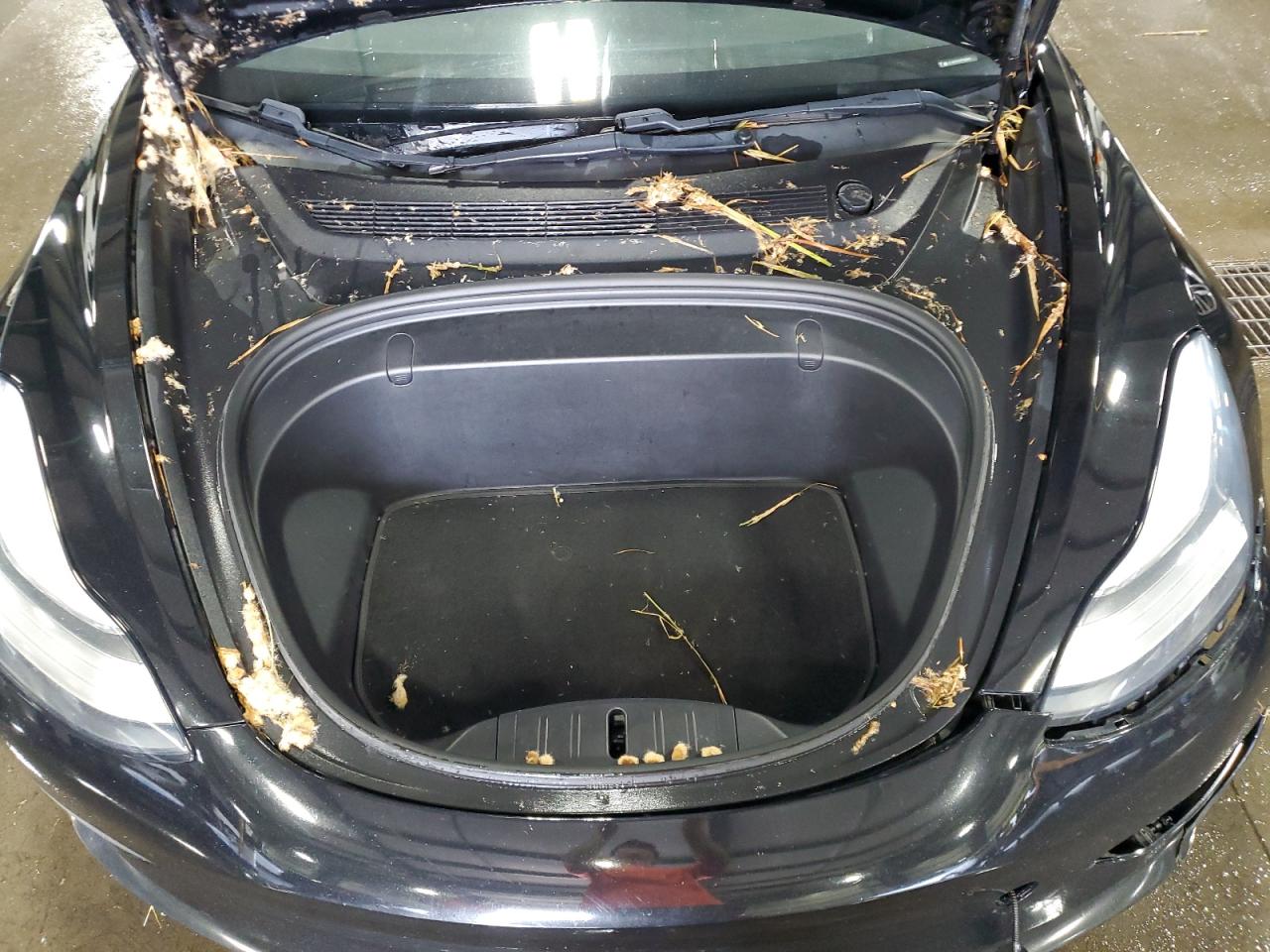 2019 Tesla Model 3 VIN: 5YJ3E1EA1KF196914 Lot: 80706455