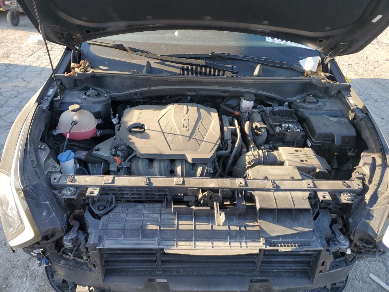 2023 Kia Sportage Ex VIN: 5XYK33AF8PG060049 Lot: 81801745