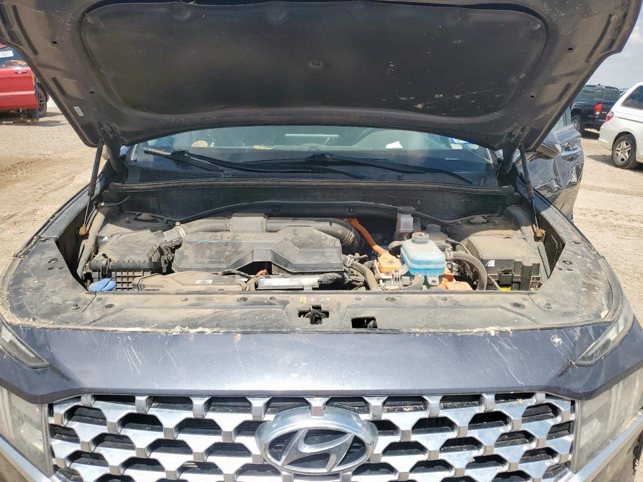 2022 Hyundai Santa Fe Sel Premium VIN: KM8S3DA11NU023412 Lot: 81119125