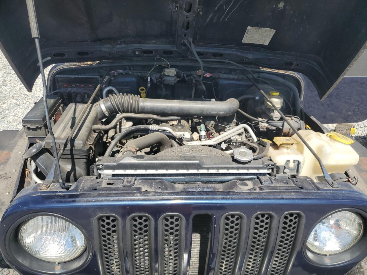 2006 Jeep Wrangler X VIN: 1J4FA39S36P780647 Lot: 84202335