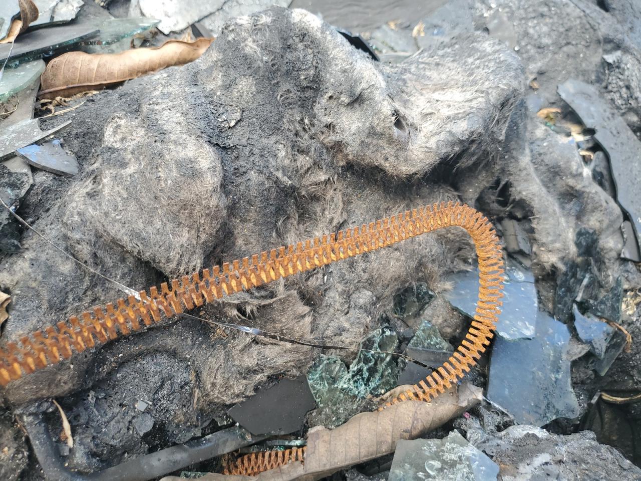 2015 GMC Acadia Slt-1 VIN: 1GKKRRKD6FJ160216 Lot: 81481175