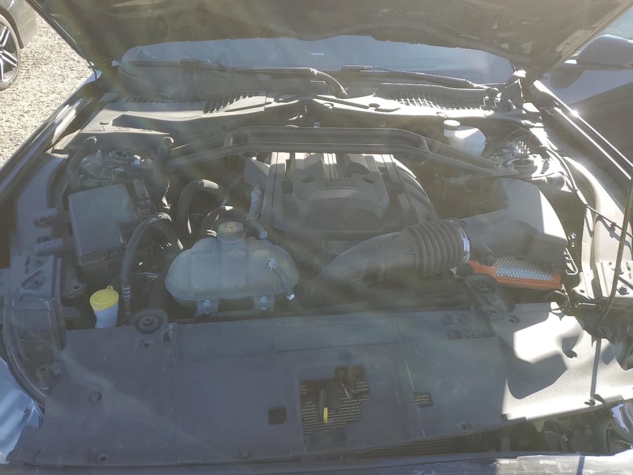 2019 Ford Mustang VIN: 1FA6P8TH9K5193699 Lot: 81154995