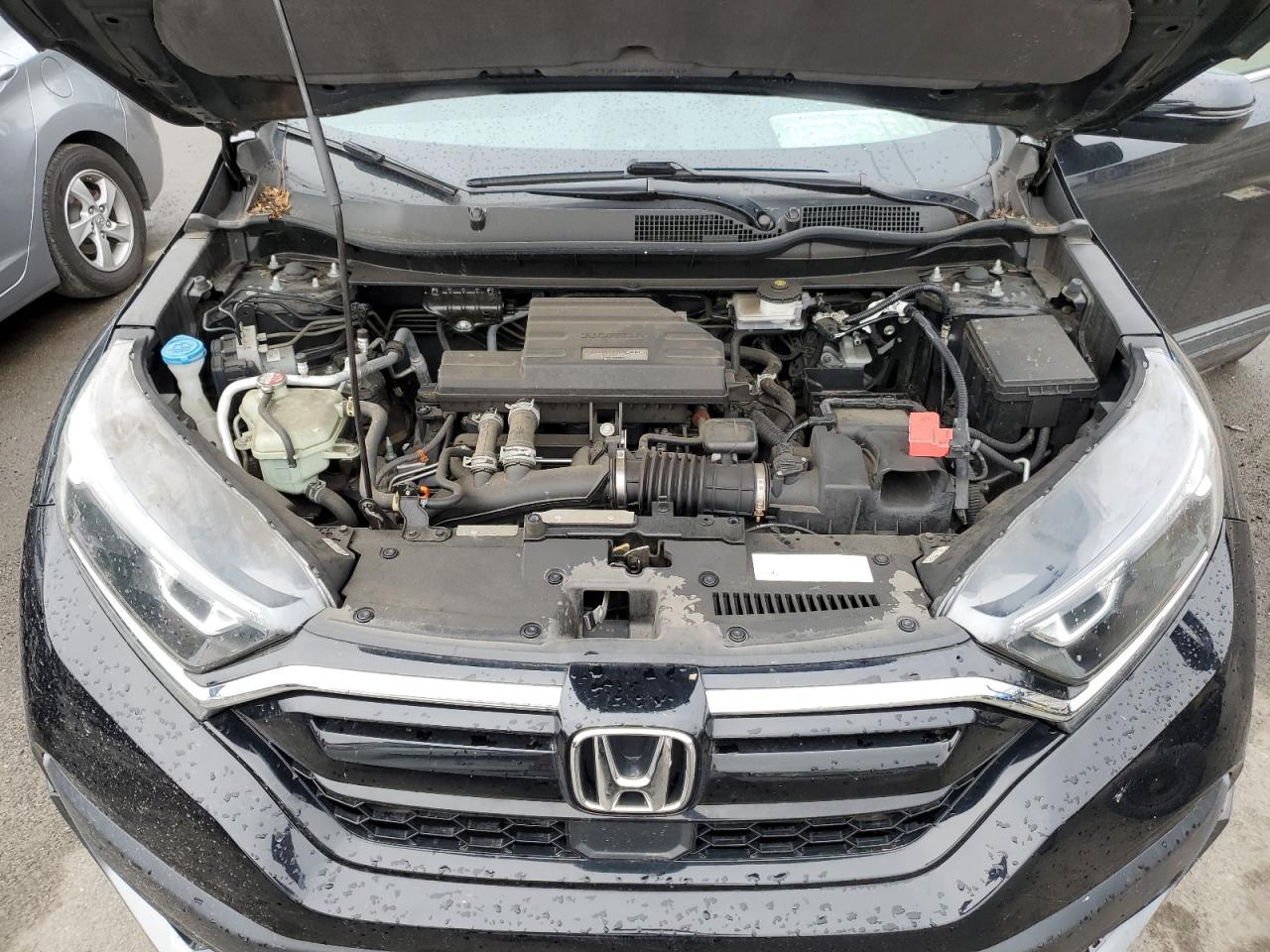 2020 Honda Cr-V Ex VIN: 7FARW2H51LE003226 Lot: 81037675