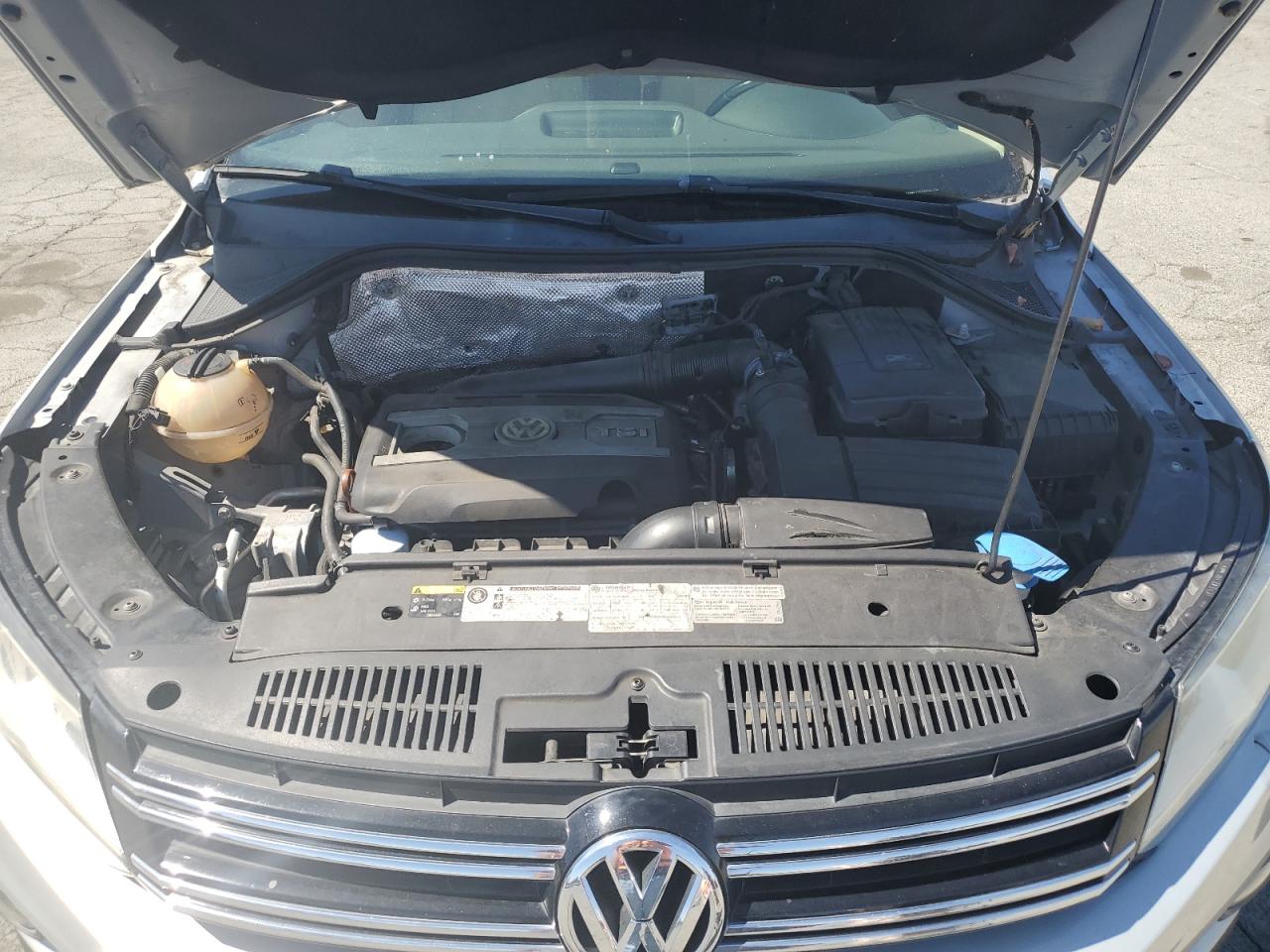 2013 Volkswagen Tiguan S VIN: WVGBV7AX7DW551779 Lot: 71186525