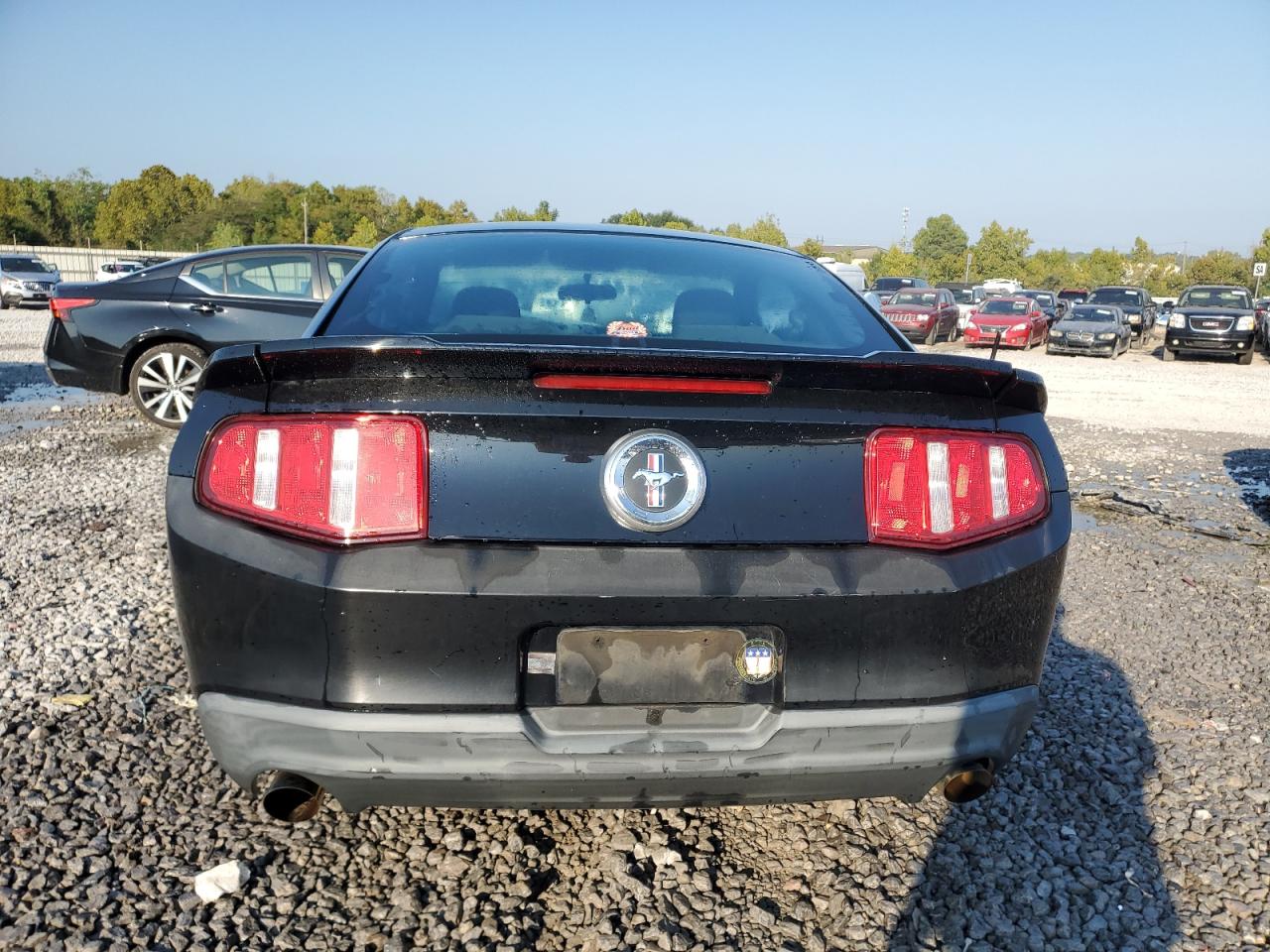 2010 Ford Mustang VIN: 1ZVBP8AN0A5178988 Lot: 71474075