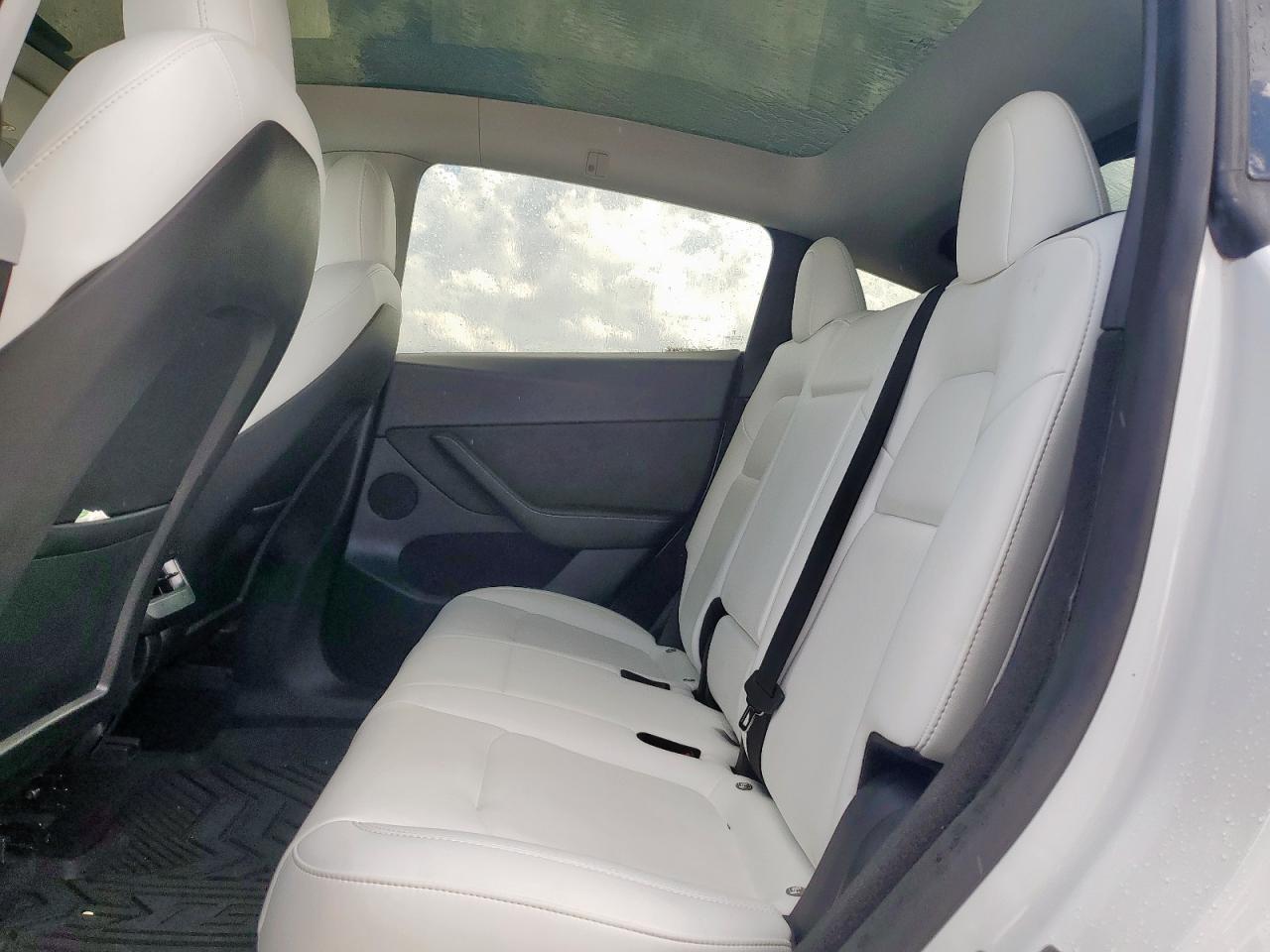 2023 Tesla Model Y VIN: 7SAYGDEE3PF610449 Lot: 81456845