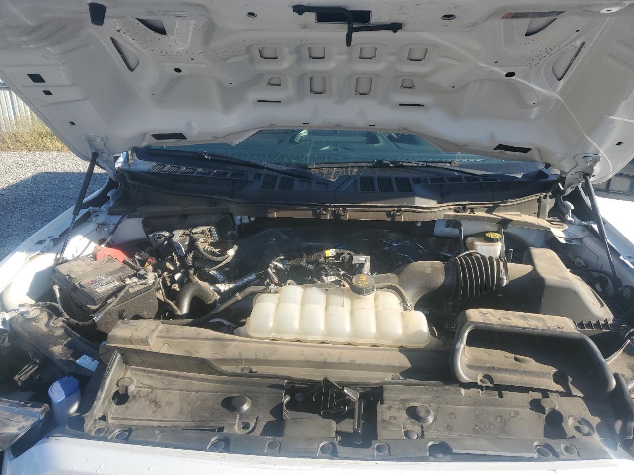 2023 Ford F150 Super Cab VIN: 1FTEX1EP9PKD77941 Lot: 84584485