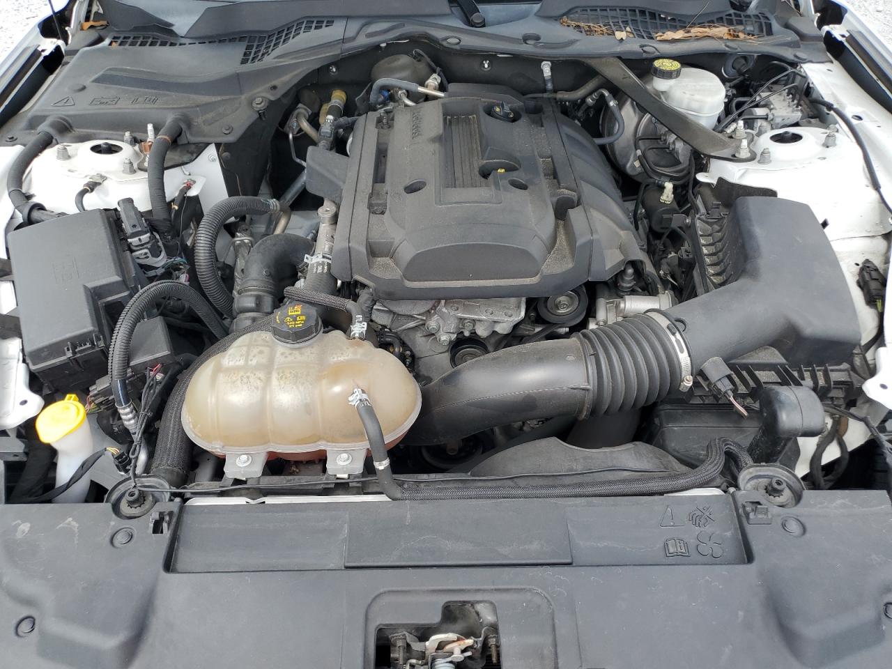 2019 Ford Mustang VIN: 1FATP8UH6K5170401 Lot: 81534935