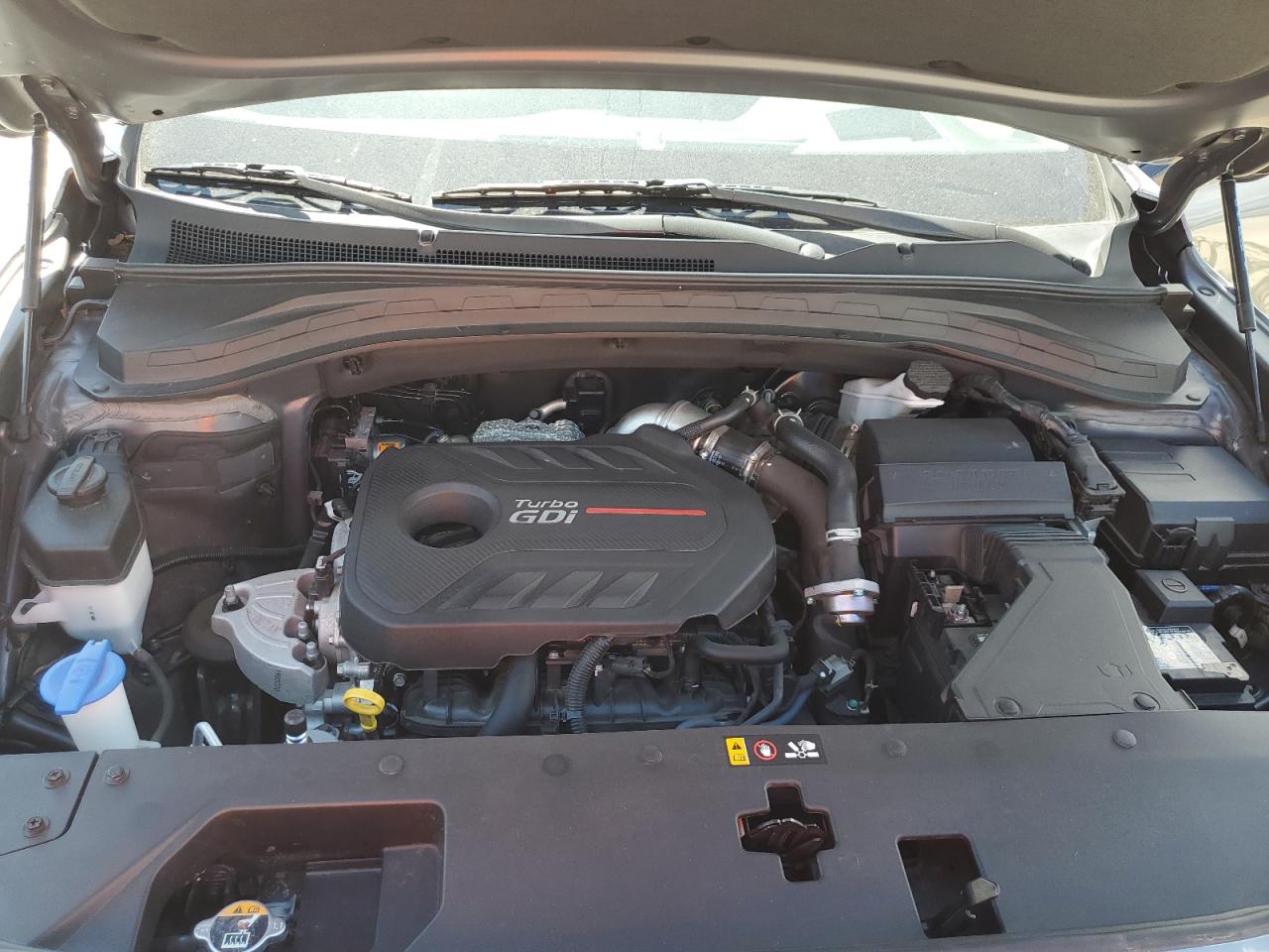 2019 Hyundai Santa Fe Limited VIN: 5NMS53AAXKH117462 Lot: 81873685