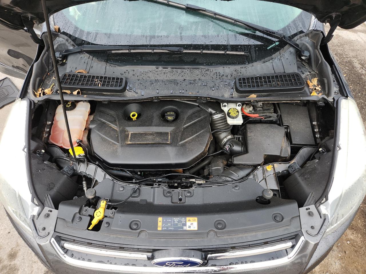 2015 Ford Escape Titanium VIN: 1FMCU9J9XFUA88037 Lot: 81329605