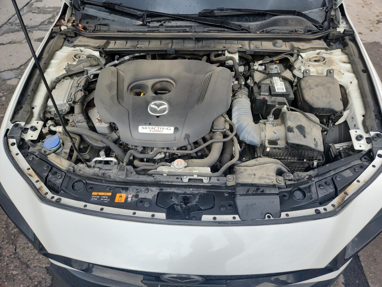 2021 Mazda 3 Premium Plus VIN: JM1BPBNY1M1334729 Lot: 83754925