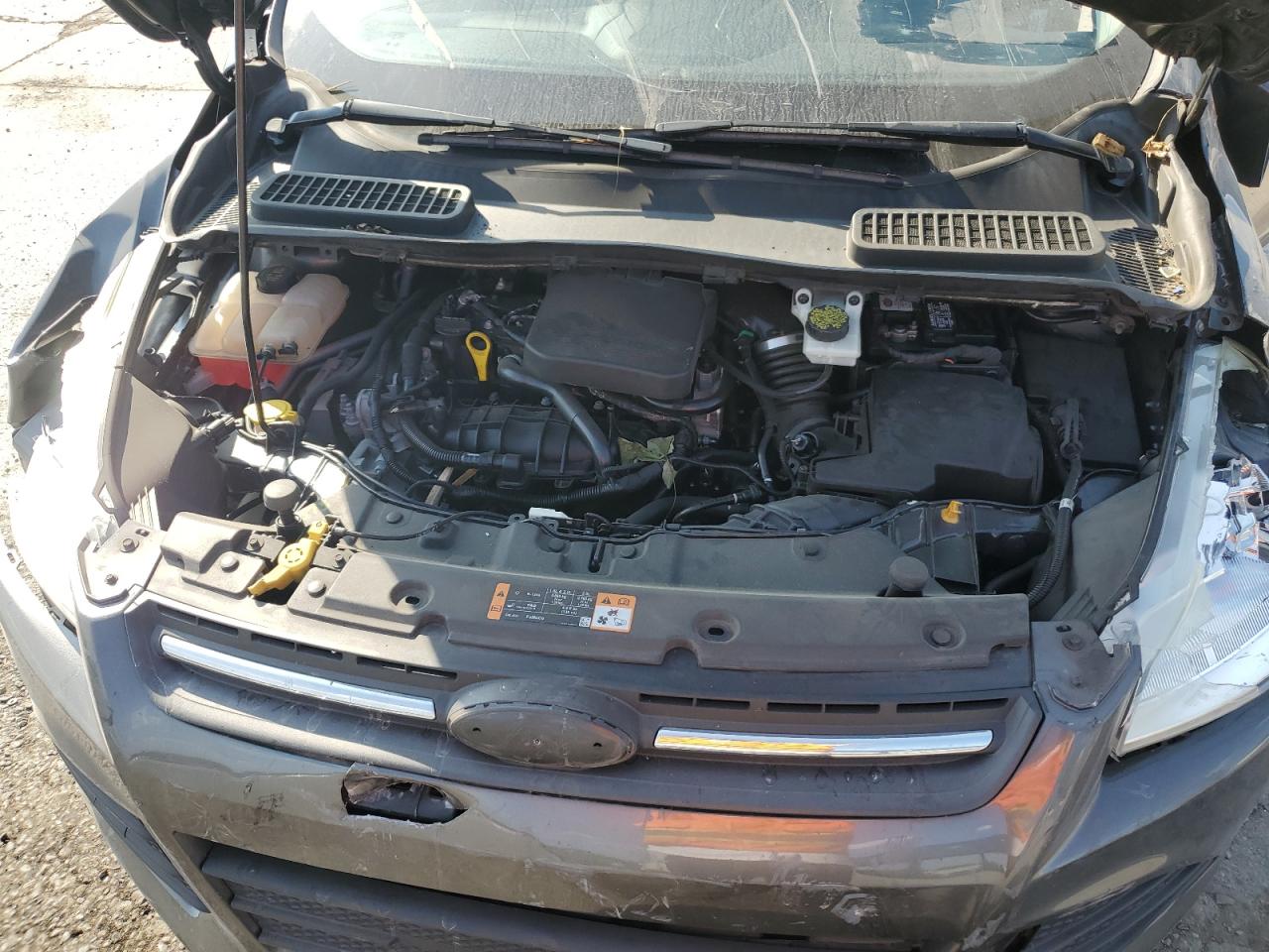 2015 Ford Escape Se VIN: 1FMCU0GX0FUB60381 Lot: 81431355