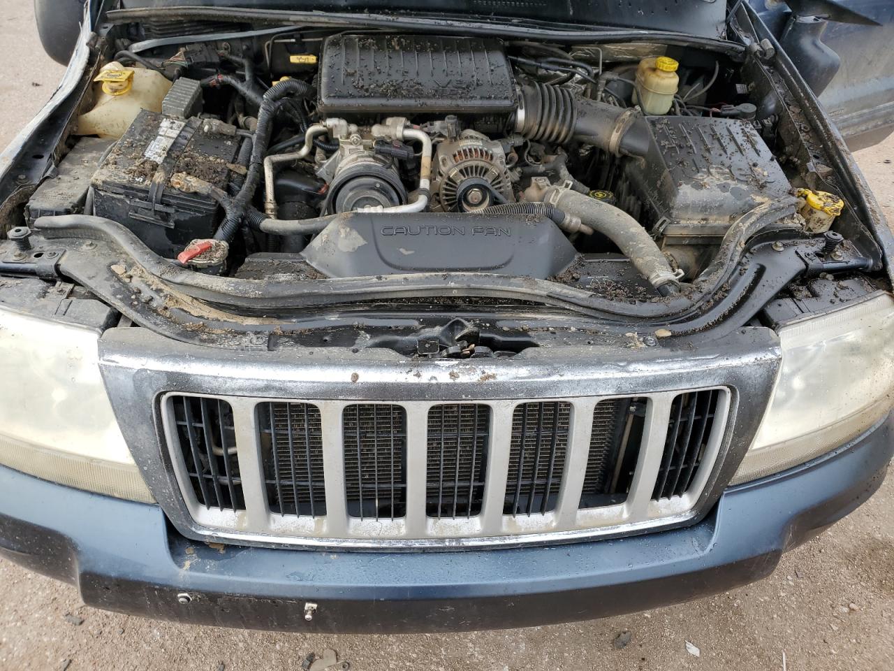 2004 Jeep Grand Cherokee Limited VIN: 1J4GW58N64C274036 Lot: 81668885