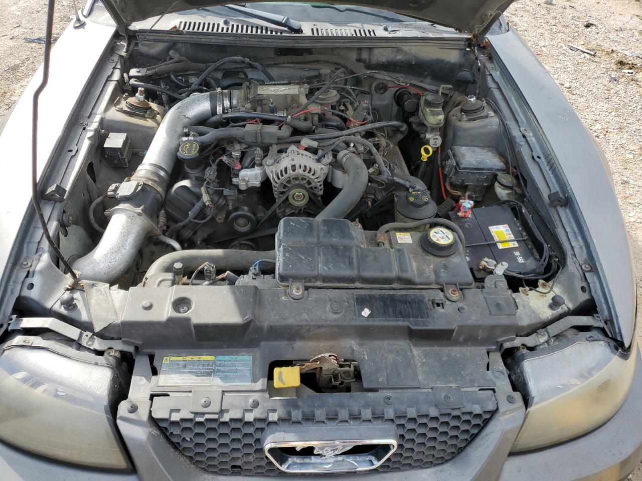 2004 Ford Mustang Gt VIN: 1FAFP45X54F114491 Lot: 80877465