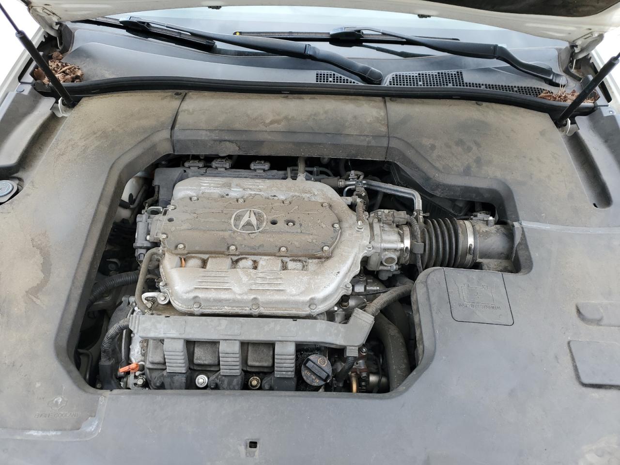 2013 Acura Tl VIN: 19UUA8F22DA004106 Lot: 84404585