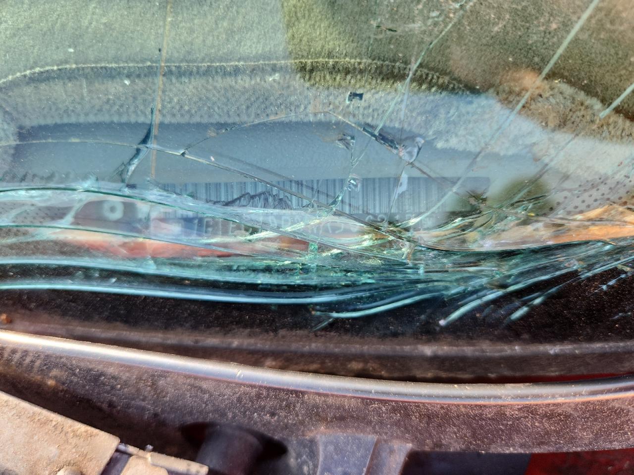 1998 GMC Sierra C1500 VIN: 1GTEC19R3WR506219 Lot: 81150295