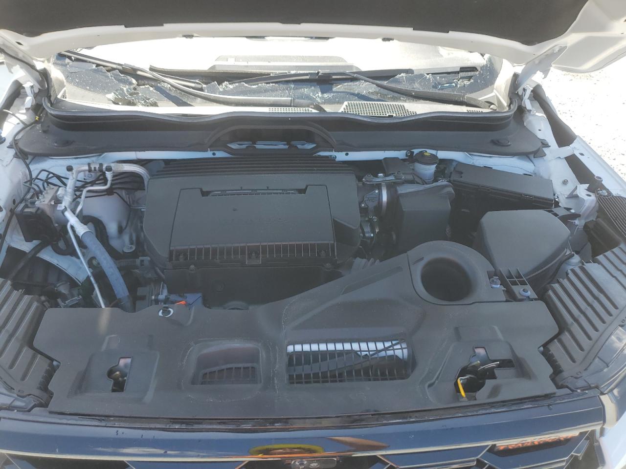 2024 Honda Pilot Trailsport VIN: 5FNYG1H62RB009150 Lot: 83780775