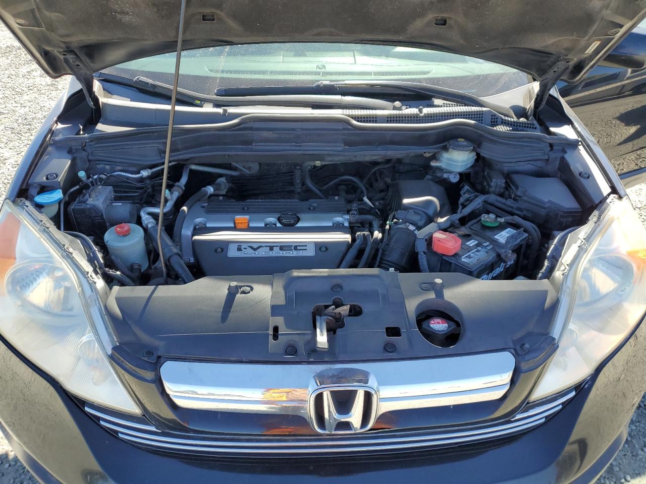 2007 Honda Cr-V Exl VIN: JHLRE48717C110570 Lot: 83991365