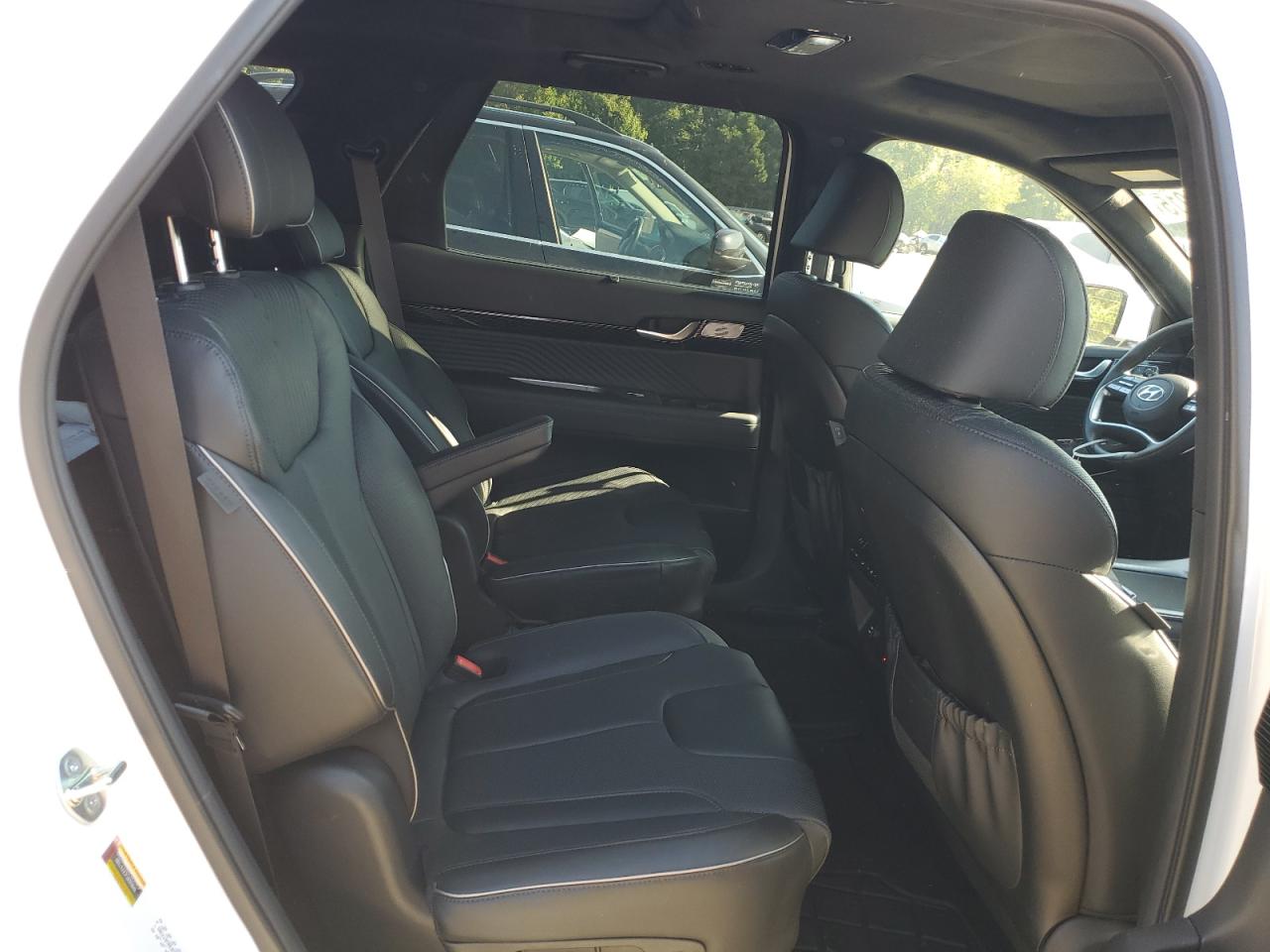 2024 Hyundai Palisade Calligraphy VIN: KM8R7DGE6RU674389 Lot: 80351015