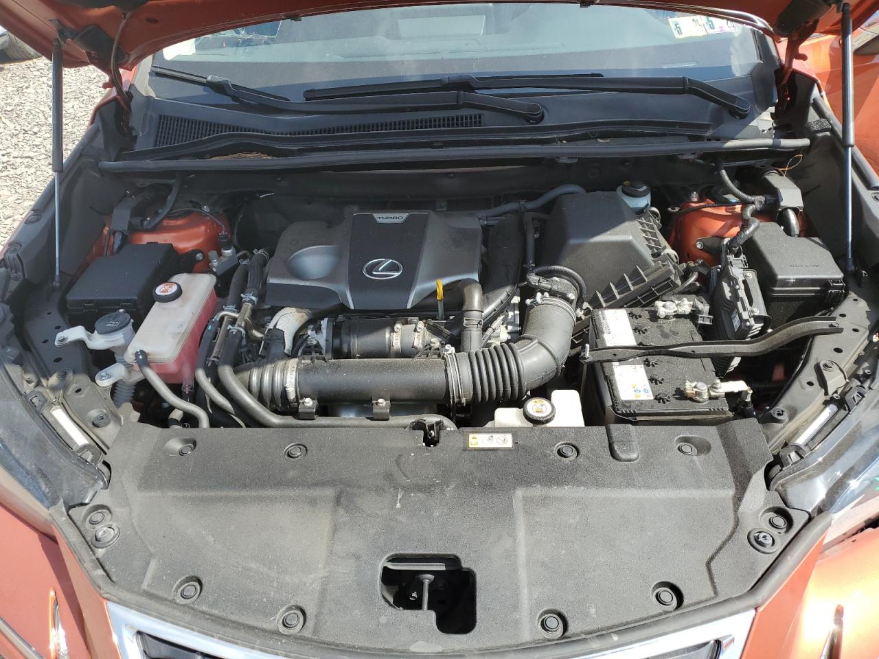 2020 Lexus Nx 300 VIN: JTJDARDZ3L2224154 Lot: 80485395