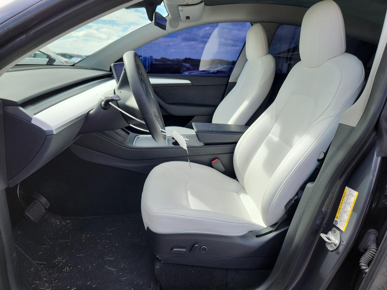 2023 Tesla Model Y VIN: 7SAYGDEE1PF619151 Lot: 81265535