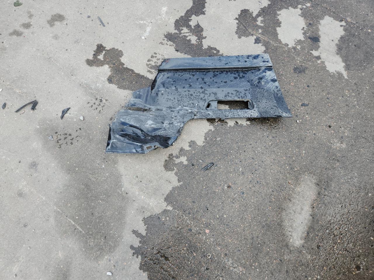 2009 Ford Mustang Gt VIN: 1ZVHT82H295134243 Lot: 81117775